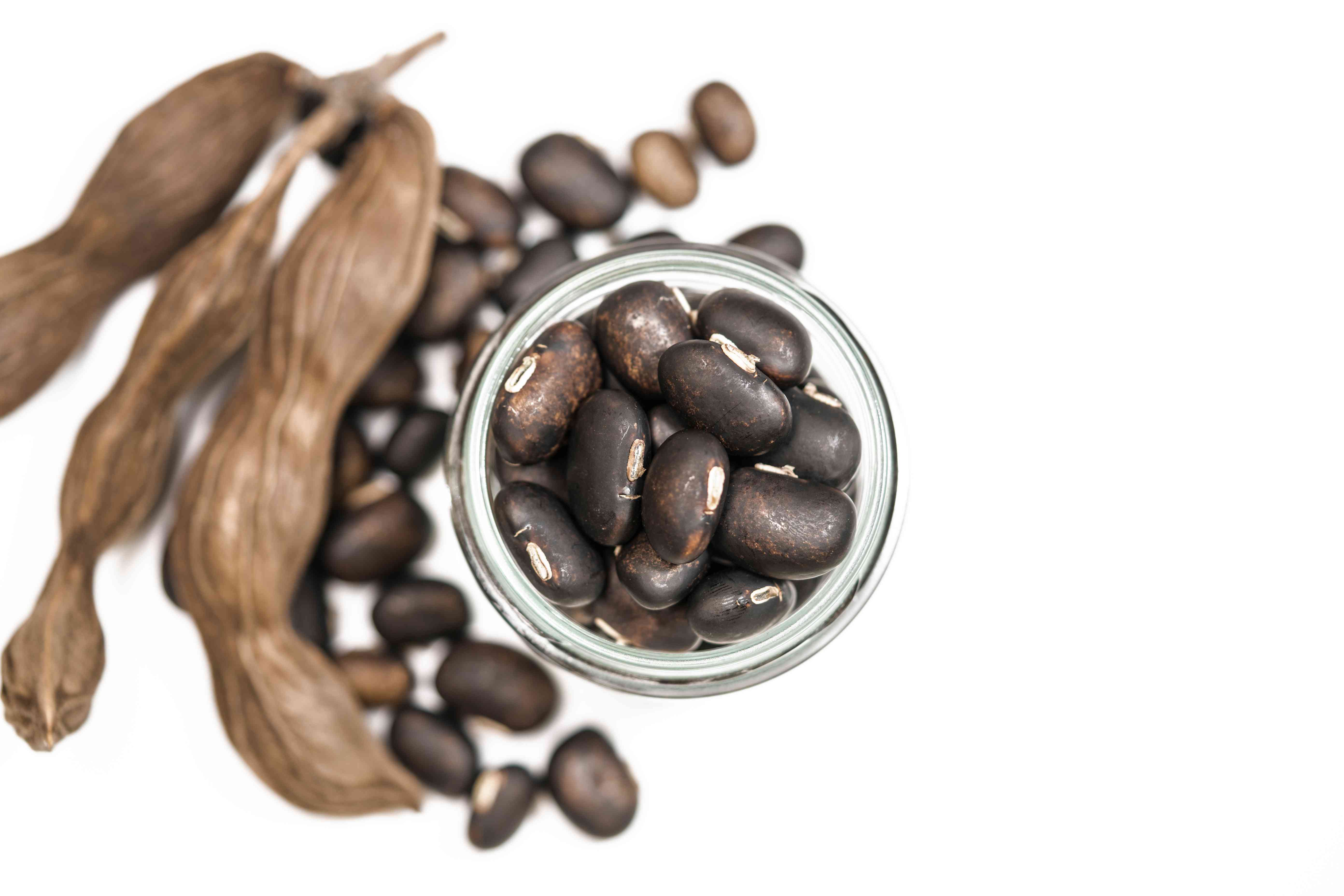 Mucuna pruriens seeds Wholesale Manufacturer & Supplier in India